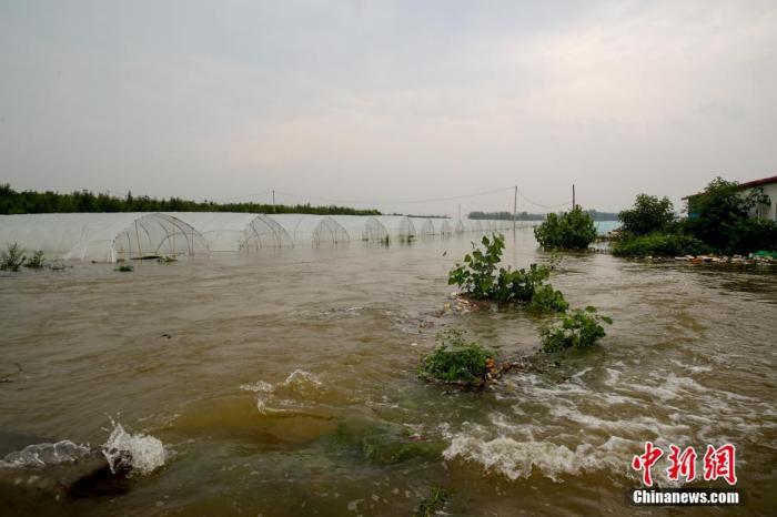 7月22日，安陽市西于曹村附近，積水已經漫過301省道，部分房屋農田被淹。19日至22日，河南安陽遭遇強降水，平均降水304.6毫米。據氣象部門預測，22日16時以后安陽市有分散性陣雨，23日白天降水趨于結束。圖為被淹的農田。 <a target='_blank' href='http://www.chinanews.com/' _fcksavedurl='http://www.chinanews.com/' _fcksavedurl='http://www.chinanews.com/'>中新社</a>記者 　張暢 攝 　